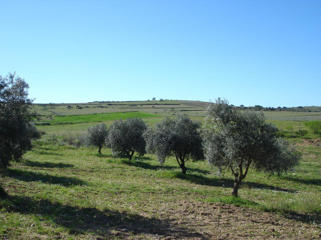 Horta Do Muro Campo Maior Extérieur photo